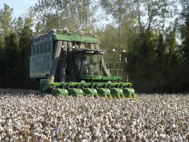 A picture of a cotton extractor machine